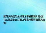 梨花头烫后怎么打理之卷发棒篇介绍(梨花头烫后怎么打理之卷发棒篇详细情况如何)