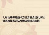 七彩山鸡养殖技术方法步骤介绍(七彩山鸡养殖技术方法步骤详细情况如何)