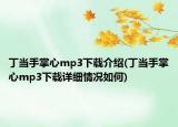 丁当手掌心mp3下载介绍(丁当手掌心mp3下载详细情况如何)