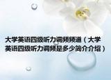 大学英语四级听力调频频道（大学英语四级听力调频是多少简介介绍）