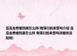 瓜瓜龙思维到底怎么样(有懂行的来答吗介绍 瓜瓜龙思维到底怎么样 有懂行的来答吗详细情况如何)