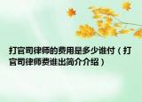打官司律师的费用是多少谁付（打官司律师费谁出简介介绍）