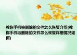 教你手机被删除的文件怎么恢复介绍(教你手机被删除的文件怎么恢复详细情况如何)