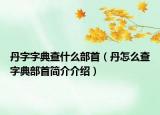 丹字字典查什么部首（丹怎么查字典部首简介介绍）