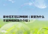 家中可不可以种桃树（家里为什么不能种桃树简介介绍）