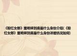 《粉红女郎》里哈妹到底是什么身份介绍(《粉红女郎》里哈妹到底是什么身份详细情况如何)