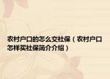 农村户口的怎么交社保（农村户口怎样买社保简介介绍）