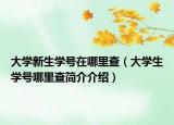 大学新生学号在哪里查（大学生学号哪里查简介介绍）