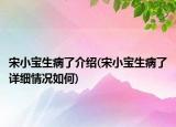 宋小宝生病了介绍(宋小宝生病了详细情况如何)