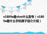 v1809a是vivo什么型号（v1809a是什么手机牌子简介介绍）