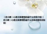 （史小鹏）心语主旋律用的是什么吉他介绍(（史小鹏）心语主旋律用的是什么吉他详细情况如何)