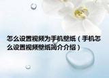怎么设置视频为手机壁纸（手机怎么设置视频壁纸简介介绍）
