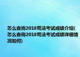 怎么查询2018司法考试成绩介绍(怎么查询2018司法考试成绩详细情况如何)