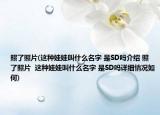 照了照片(这种娃娃叫什么名字 是SD吗介绍 照了照片  这种娃娃叫什么名字 是SD吗详细情况如何)