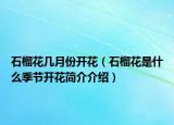 石榴花几月份开花（石榴花是什么季节开花简介介绍）