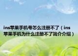 ins苹果手机号怎么注册不了（ins苹果手机为什么注册不了简介介绍）