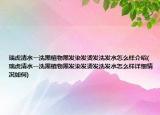 瑞虎清水一洗黑植物黑发染发烫发洗发水怎么样介绍(瑞虎清水一洗黑植物黑发染发烫发洗发水怎么样详细情况如何)
