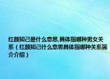 红颜知己是什么意思,具体指哪种男女关系（红颜知己什么意思具体指哪种关系简介介绍）