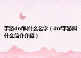 手游dnf叫什么名字（dnf手游叫什么简介介绍）