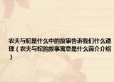 农夫与蛇是什么中的故事告诉我们什么道理（农夫与蛇的故事寓意是什么简介介绍）