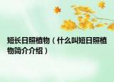 短长日照植物（什么叫短日照植物简介介绍）
