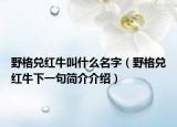 野格兑红牛叫什么名字（野格兑红牛下一句简介介绍）
