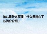 抛丸是什么原理（什么是抛丸工艺简介介绍）