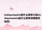 indispensable是什么意思介绍(indispensable是什么意思详细情况如何)