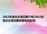 2012生男生女清宫图介绍(2012生男生女清宫图详细情况如何)
