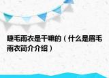 睫毛雨衣是干嘛的（什么是眉毛雨衣简介介绍）