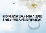 笔记本电脑怎样玩双人小游戏介绍(笔记本电脑怎样玩双人小游戏详细情况如何)