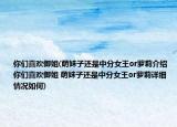 你们喜欢御姐(萌妹子还是中分女王or萝莉介绍 你们喜欢御姐 萌妹子还是中分女王or萝莉详细情况如何)