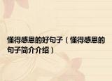 懂得感恩的好句子（懂得感恩的句子简介介绍）