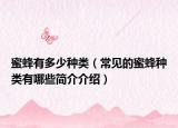 蜜蜂有多少种类（常见的蜜蜂种类有哪些简介介绍）
