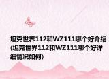 坦克世界112和WZ111哪个好介绍(坦克世界112和WZ111哪个好详细情况如何)