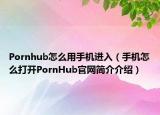 Pornhub怎么用手机进入（手机怎么打开PornHub官网简介介绍）
