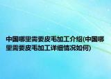 中国哪里需要皮毛加工介绍(中国哪里需要皮毛加工详细情况如何)