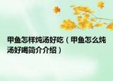甲鱼怎样炖汤好吃（甲鱼怎么炖汤好喝简介介绍）