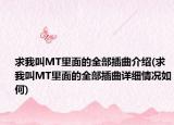 求我叫MT里面的全部插曲介绍(求我叫MT里面的全部插曲详细情况如何)