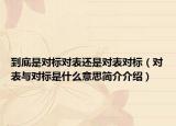 到底是对标对表还是对表对标（对表与对标是什么意思简介介绍）