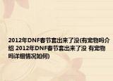 2012年DNF春节套出来了没(有宠物吗介绍 2012年DNF春节套出来了没 有宠物吗详细情况如何)