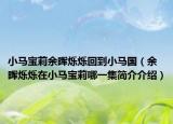 小马宝莉余晖烁烁回到小马国（余晖烁烁在小马宝莉哪一集简介介绍）