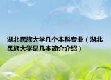 湖北民族大学几个本科专业（湖北民族大学是几本简介介绍）