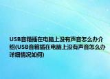 USB音箱插在电脑上没有声音怎么办介绍(USB音箱插在电脑上没有声音怎么办详细情况如何)