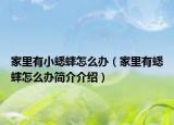 家里有小蟋蟀怎么办（家里有蟋蟀怎么办简介介绍）