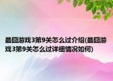 最囧游戏3第9关怎么过介绍(最囧游戏3第9关怎么过详细情况如何)