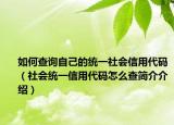如何查询自己的统一社会信用代码（社会统一信用代码怎么查简介介绍）