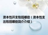 资本性开支包括哪些（资本性支出包括哪些简介介绍）