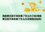 海南黄花梨手串发黑了怎么办介绍(海南黄花梨手串发黑了怎么办详细情况如何)