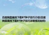 百度网盘离线下载BT种子技巧介绍(百度网盘离线下载BT种子技巧详细情况如何)